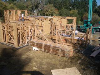 [Framing progress with reused lumber roof joists in foreground]